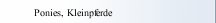 Ponies, Kleinpferde